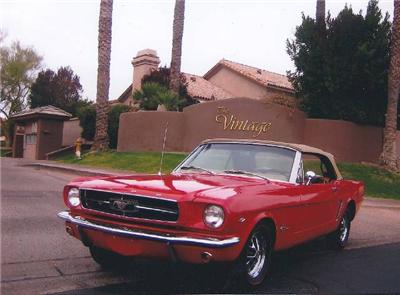 Used FORD MUSTANG 1965 : $33500