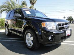 used Ford Escape XLT 2008 : $16999