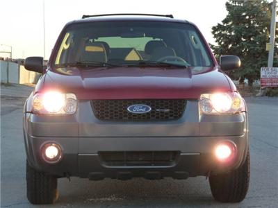 Used Ford Escape 2005 : $6495
