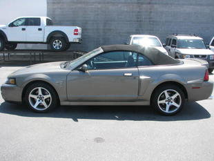 used Ford Mustang Cobra 2003 : $18995