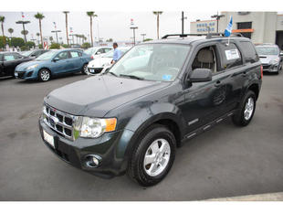 used Ford Escape XLT 2008 : $17995