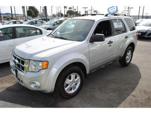 used Ford Escape XLT 2009 : $17975