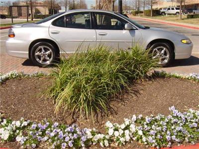 Used Pontiac GrandPrix 2003 : $6950