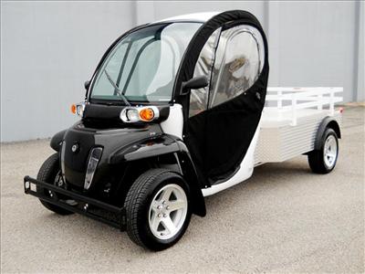 Used GEM (Global Electric Motors) eLXD 2009 : $12950