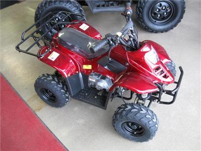 New Wildfire 110cc 2010 : $899