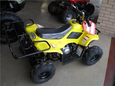 New Wildfire 110ccATV 2010 : $849