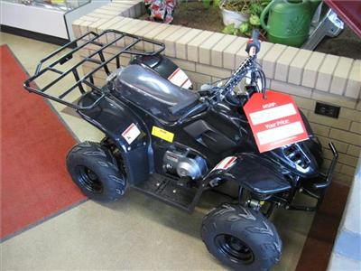 New Wildfire 110ccATV 2010 : $849