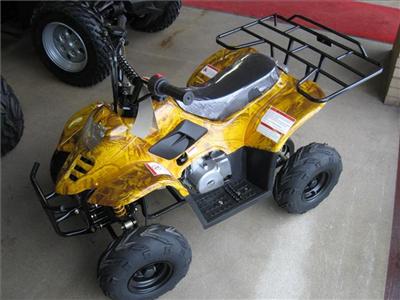 New Wildfire ATV 2010 : $899