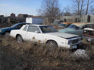 Used Chevrolet MonteCarlo 1981 : $995