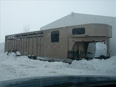Used Triton Horsetrailer 2003 : $9800